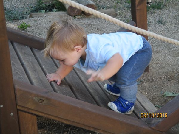 Projecte educatiu Xuclamel