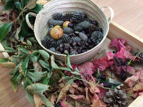 Projecte educatiu Xuclamel