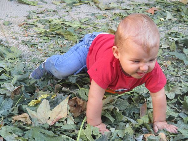 Projecte educatiu Xuclamel